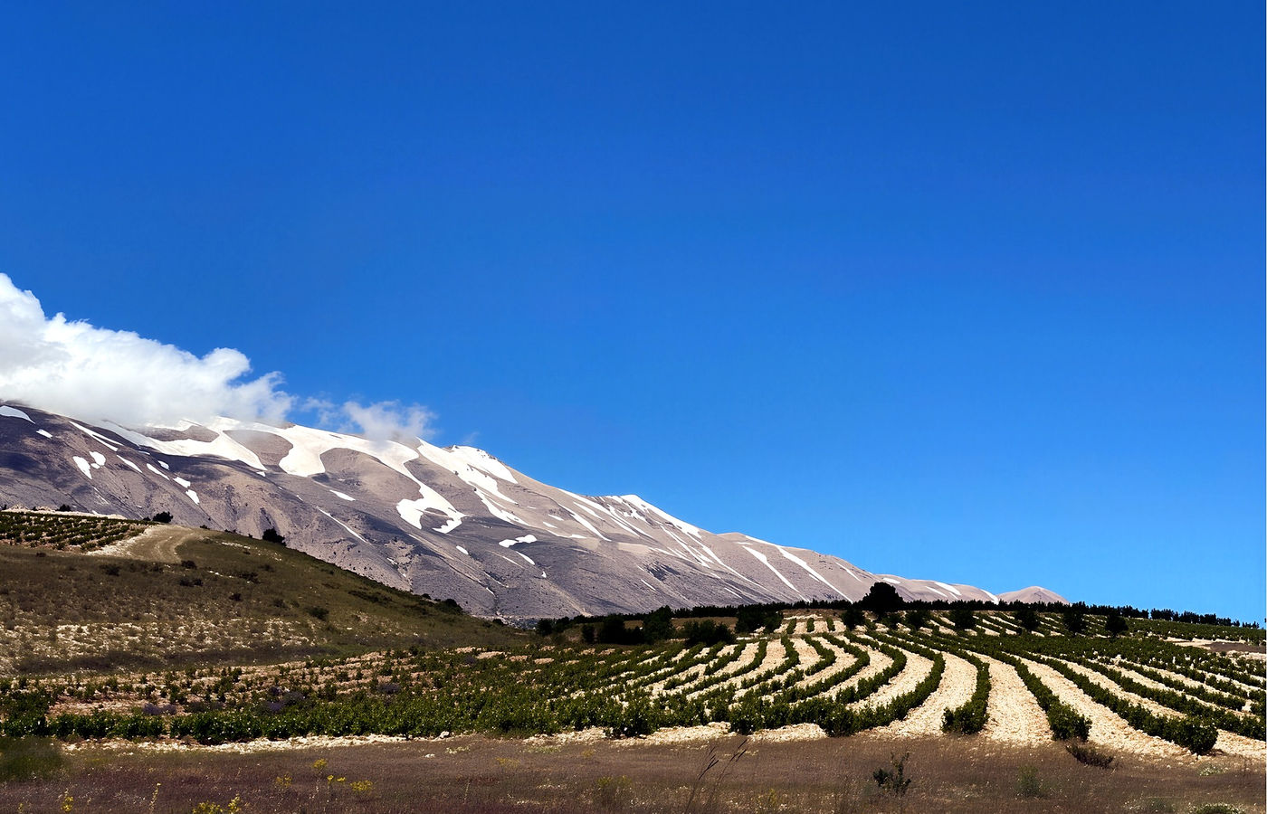 Harvest Month in the Metn: September at Quartier Suisse Hotel, Broummana